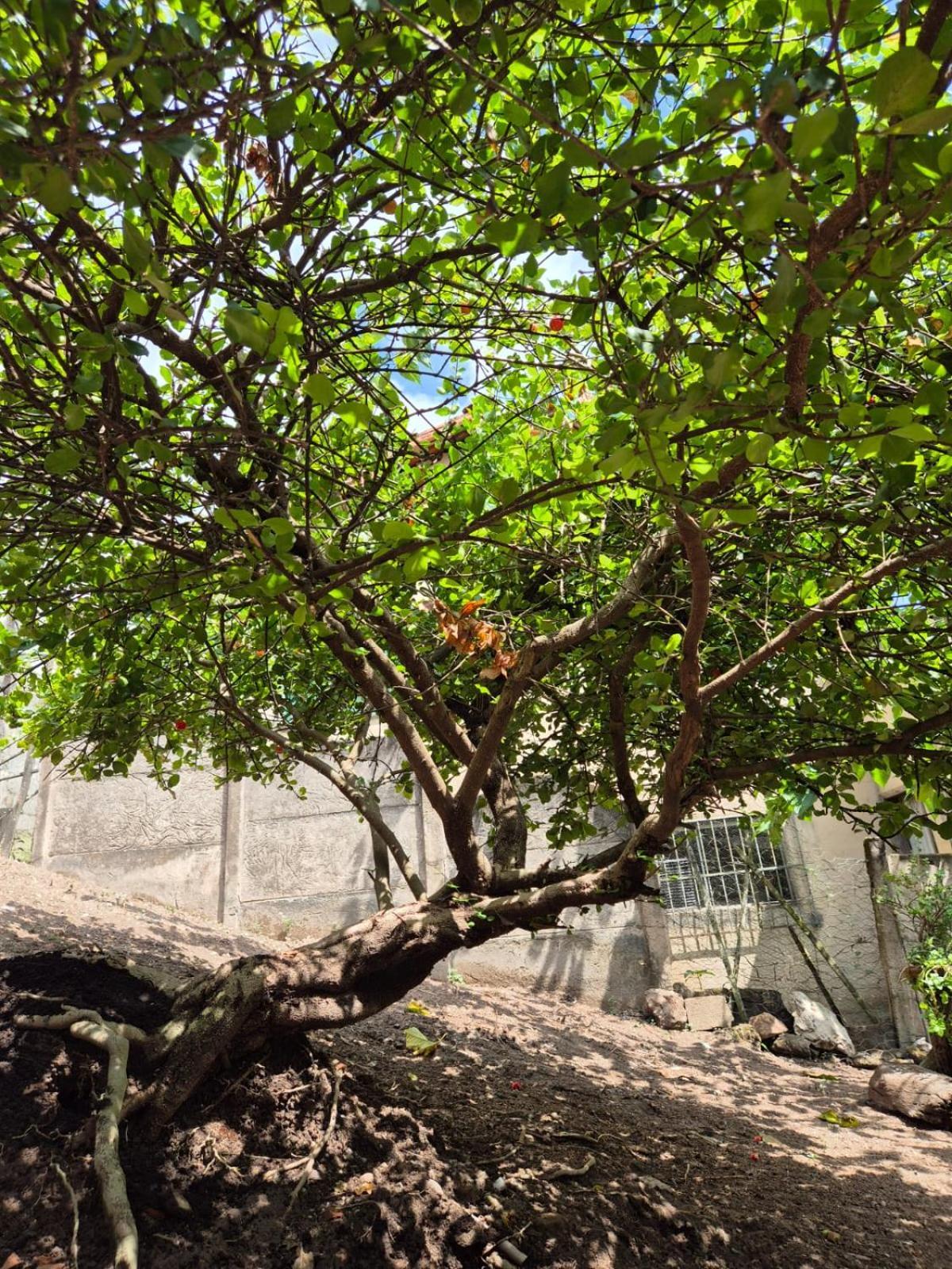 Pousada Verde Villas Brumadinho Bagian luar foto